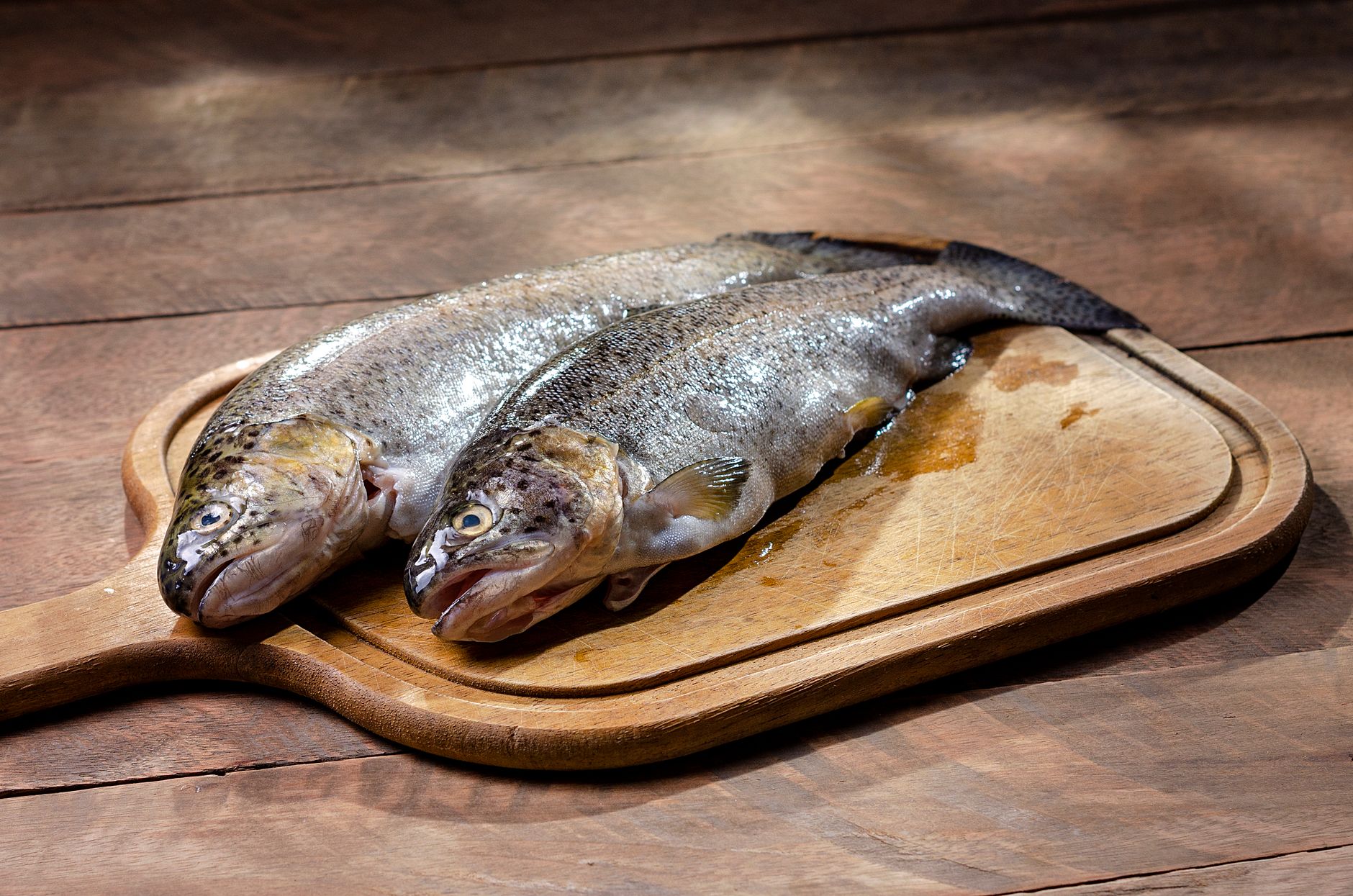 Himalayan Trouts processing